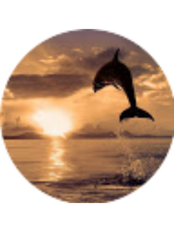 Photo of Cristina Chew