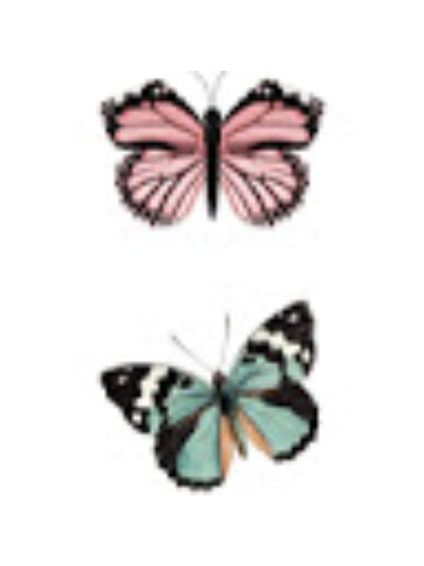 Photo of MCKENNA CARR