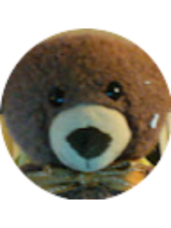 Photo of Reyansh Yedida