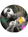 Picture of juanluislara31