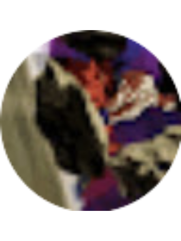 Photo of Omarromero Fis.2