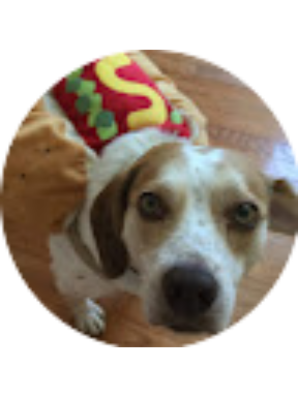 Photo of Maria Ottman