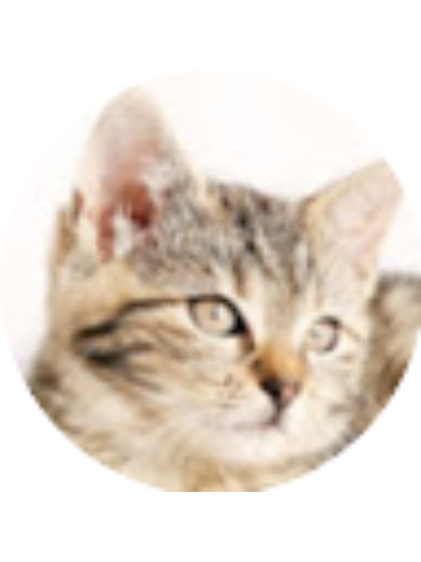 Photo of Georgia Raines