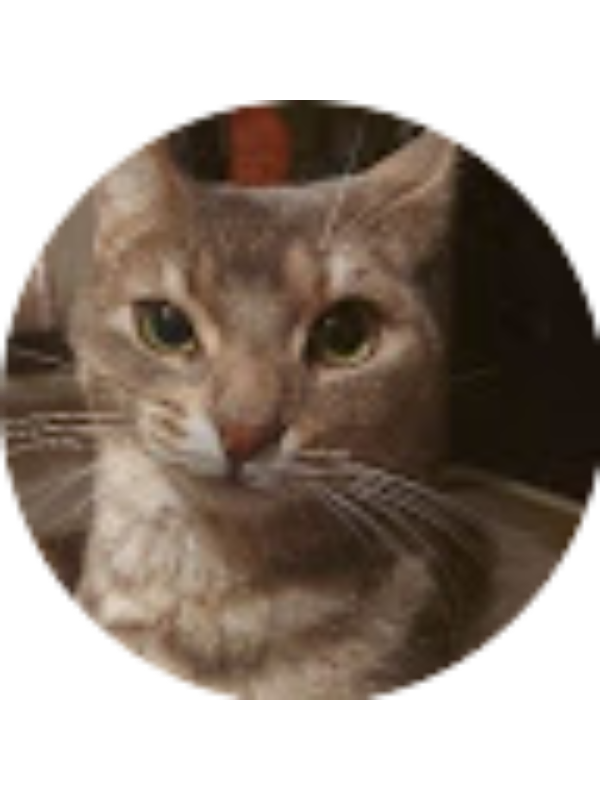 Photo of Stalyn Romero