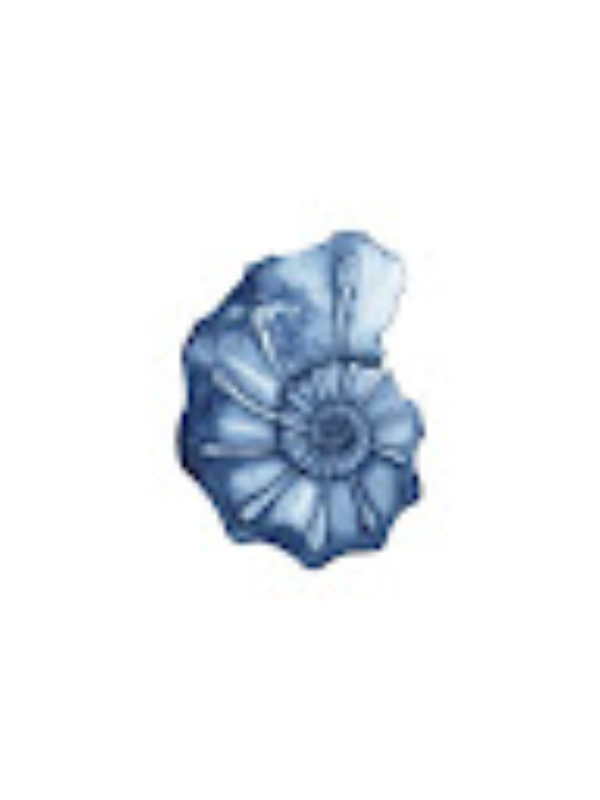 Photo of Adelina Chirtoaca