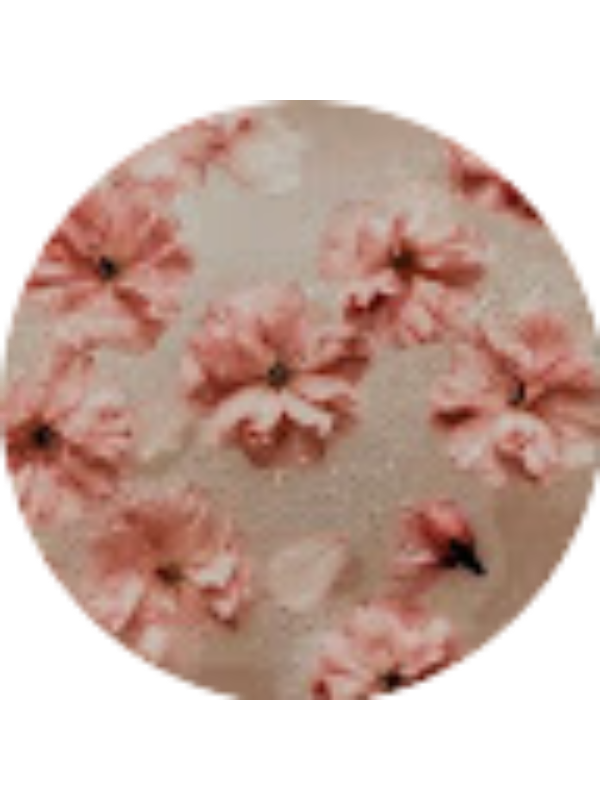 Photo of Jetta Smith