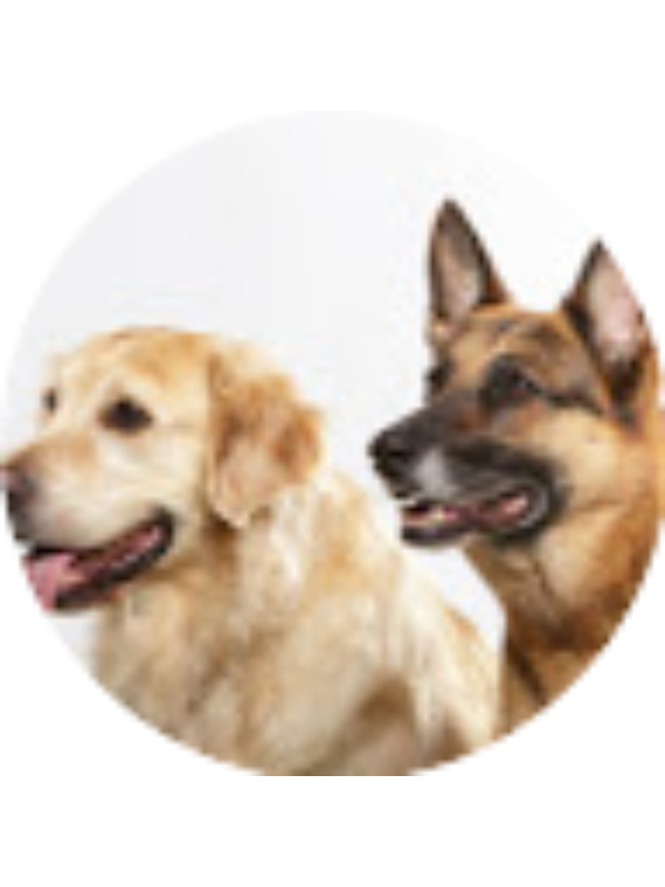 Photo of Cameron Eyrich