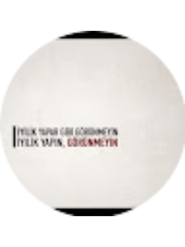 Photo of Esra Altunsoy Adiguzel