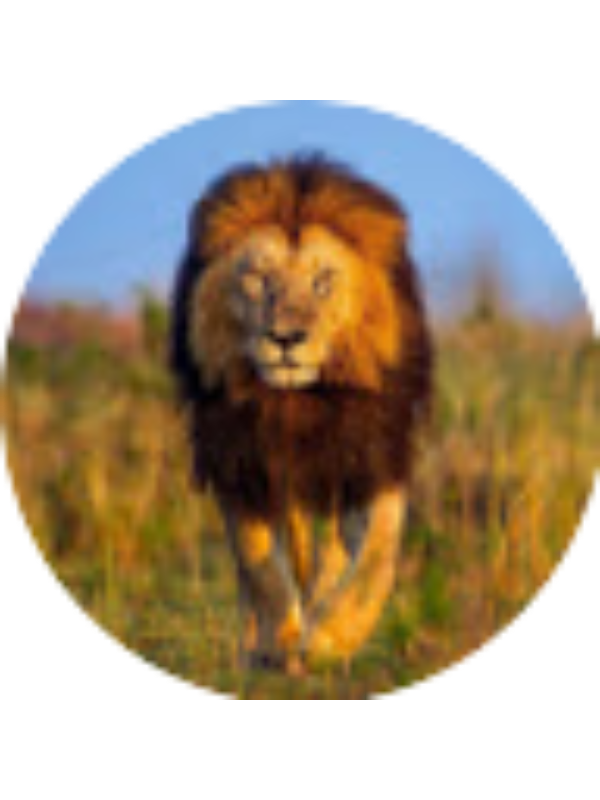 Photo of Guillermo Bendana