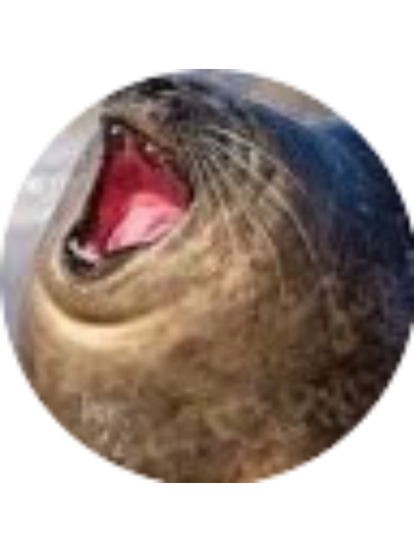 Photo of George Friedman