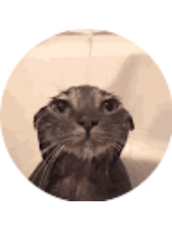 Photo of Medha Talluri _ Student - GreenHopeES