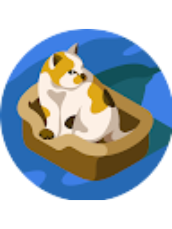 Photo of ozetorbaoglu