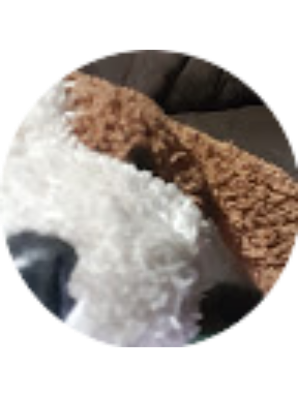 Photo of ITZEL DELGADO RAMÍREZ