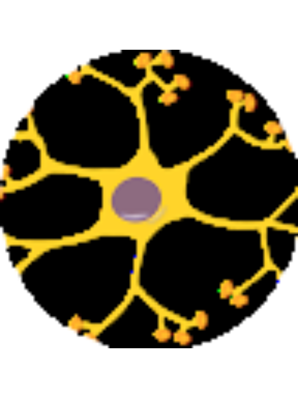 Photo of Alberto Gonzalez Ordu&ntilde;a