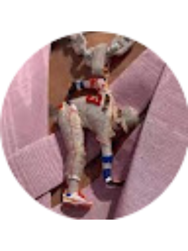 Photo of Colton Hammer