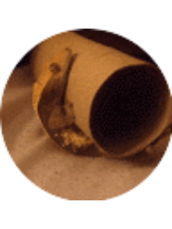 Photo of Corbin Snow (student)