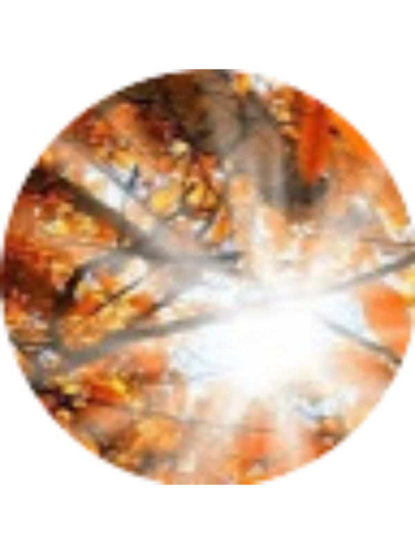 Photo of Revan Shahbazov