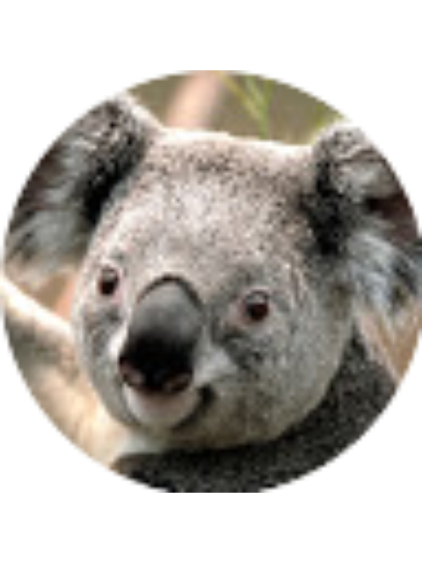 Photo of Aida Gil  Alba