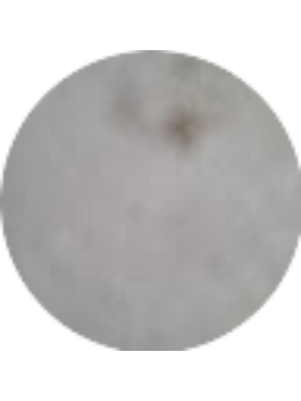 Photo of Craig Harvey