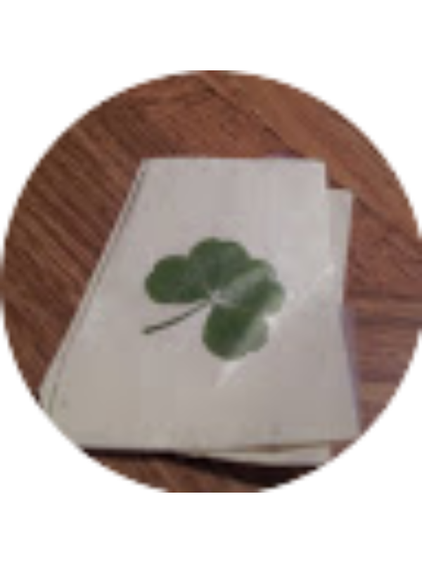 Photo of Nicole Joseph