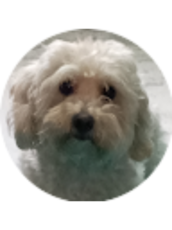 Photo of paulaalejandrafiravitoba