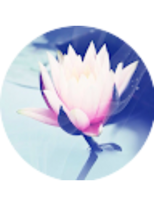 Photo of Haneen Mhagena