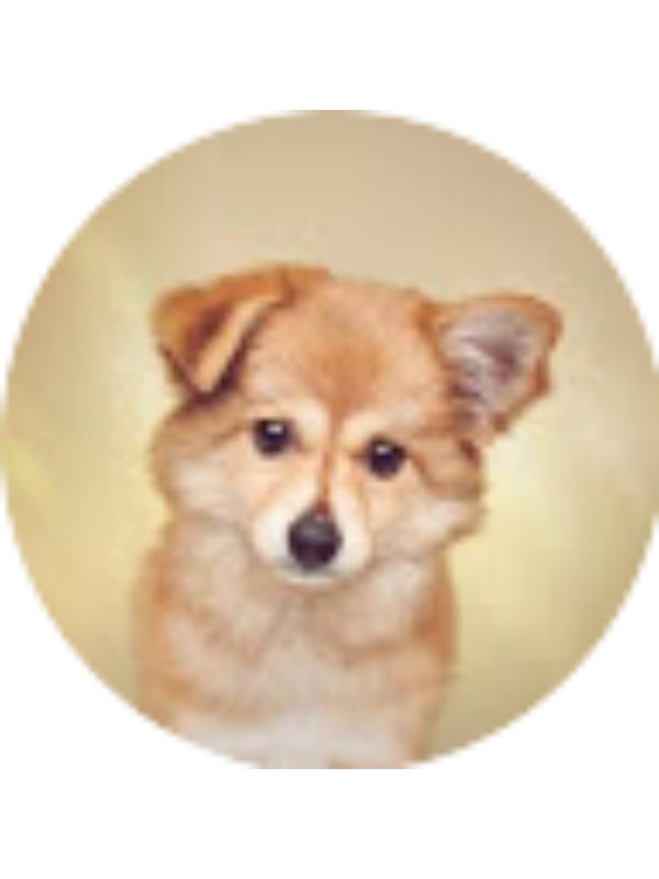 Photo of Lică Maria