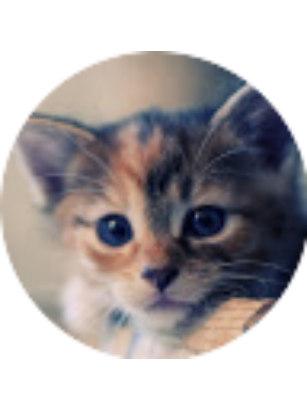 Photo of Jessica Palmer