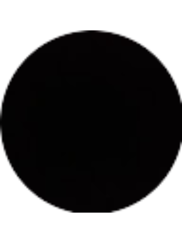 Photo of Selda Sezgin