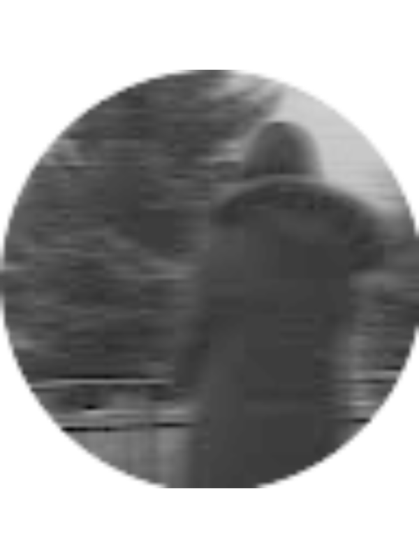 Photo of Laura Boldișor