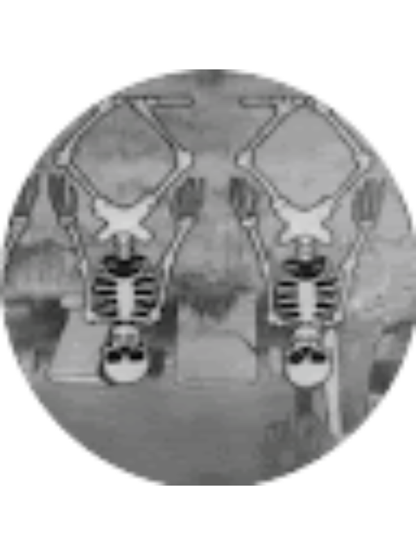 Photo of Moustafa Selim