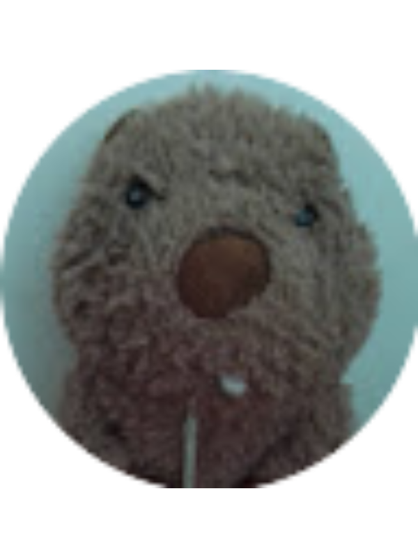 Photo of Mariana Pereira