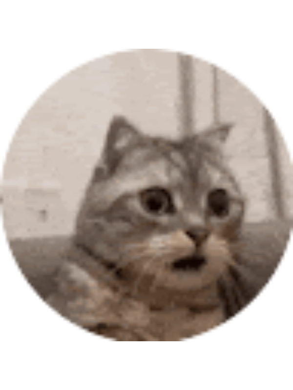 Photo of MS - 06CA 1095084 Camilla Road Sr PS