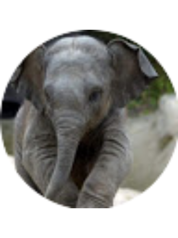 Photo of Natalie Randall