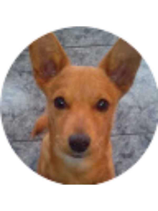 Photo of IRATI TATO IRAZUSTA