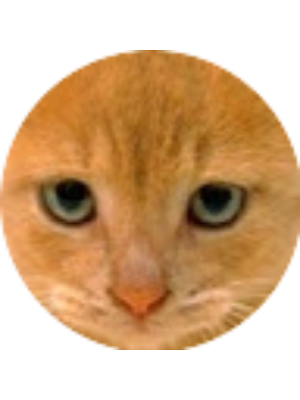 Photo of NutshackFTW CYSDNFTL Koji