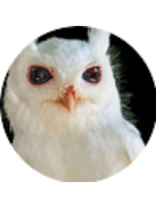 Photo of Johnathan Lafond