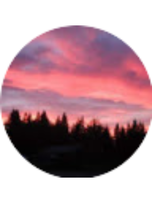 Photo of Melanie Gustafson