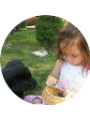 Picture of IRIS COZMA