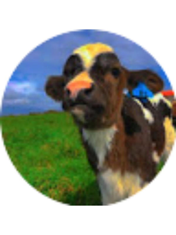 Photo of Autumn Salomon - Student