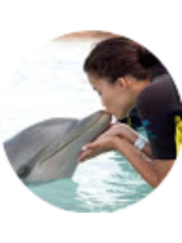 Photo of Dylan H Sechser