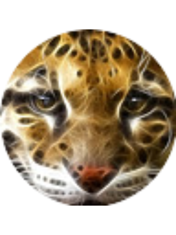 Photo of Kaylee Schibi