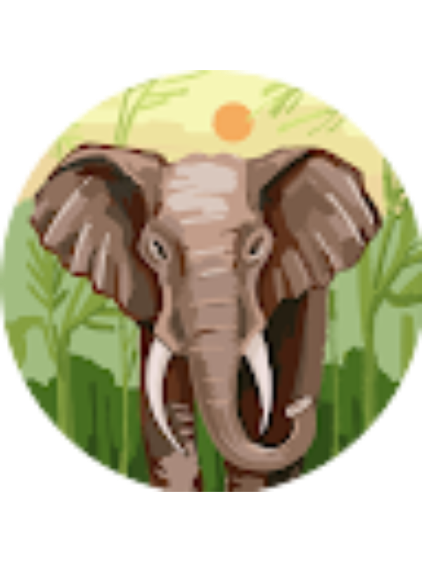 Photo of Oscar Garcia