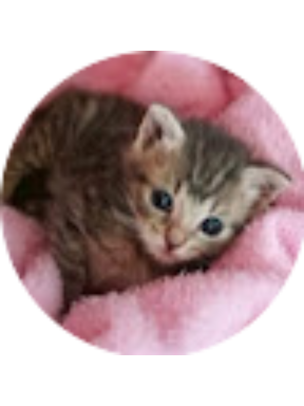 Photo of Kayla Hoeppner