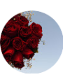 Picture of فاطمه ُ