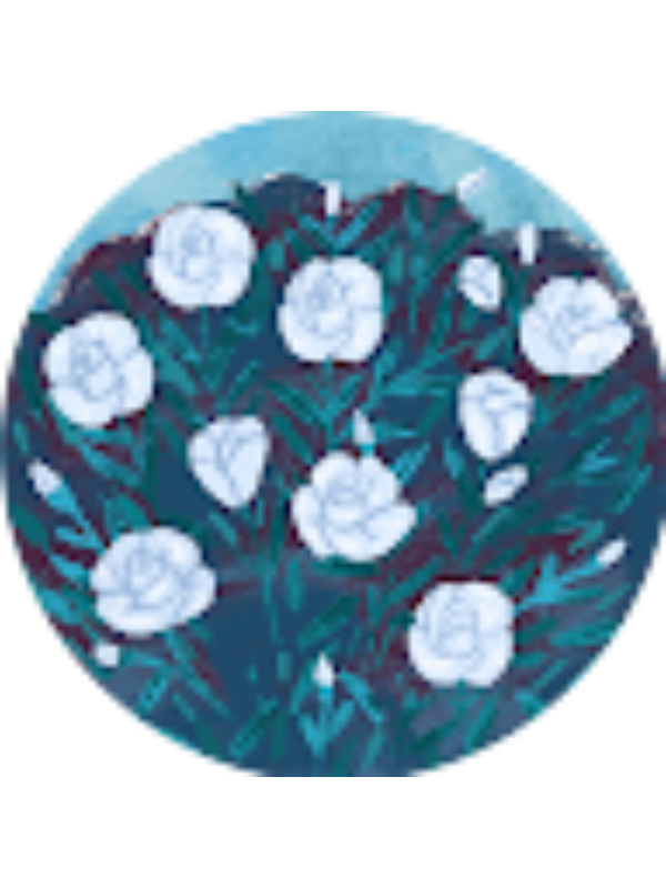 Photo of Chance Mage