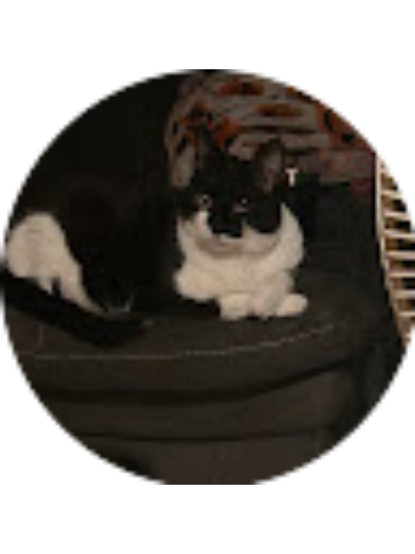 Photo of Kayla Luera