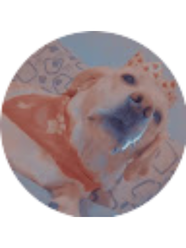 Photo of Sofia Hernandez