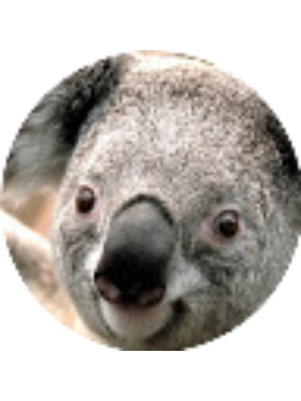 Photo of SHAN SHAN MOK