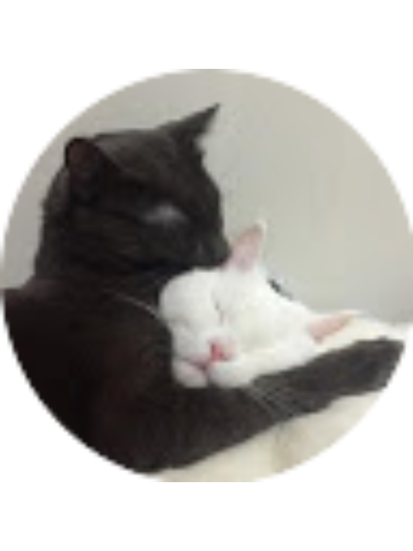 Photo of abigailgaitan3080